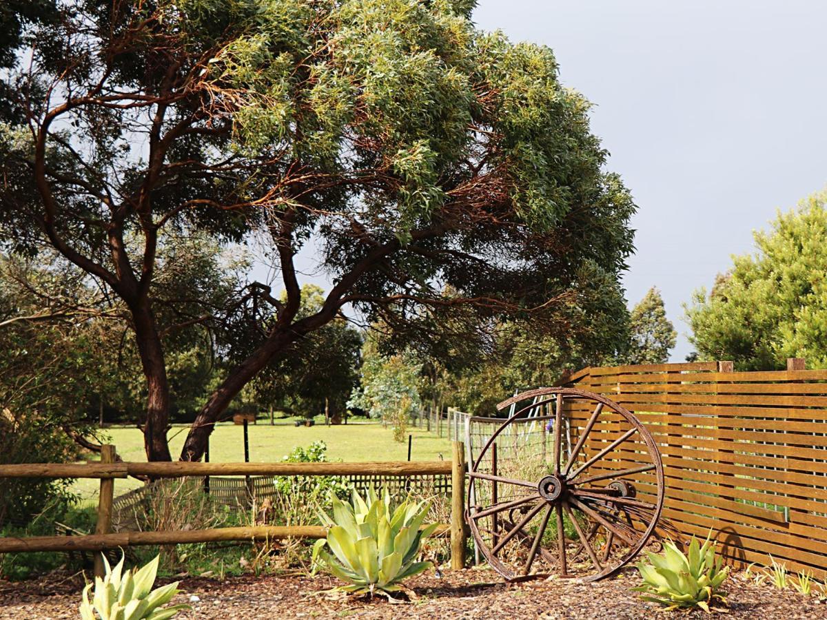 Bellum Hotel Mount Gambier Kültér fotó