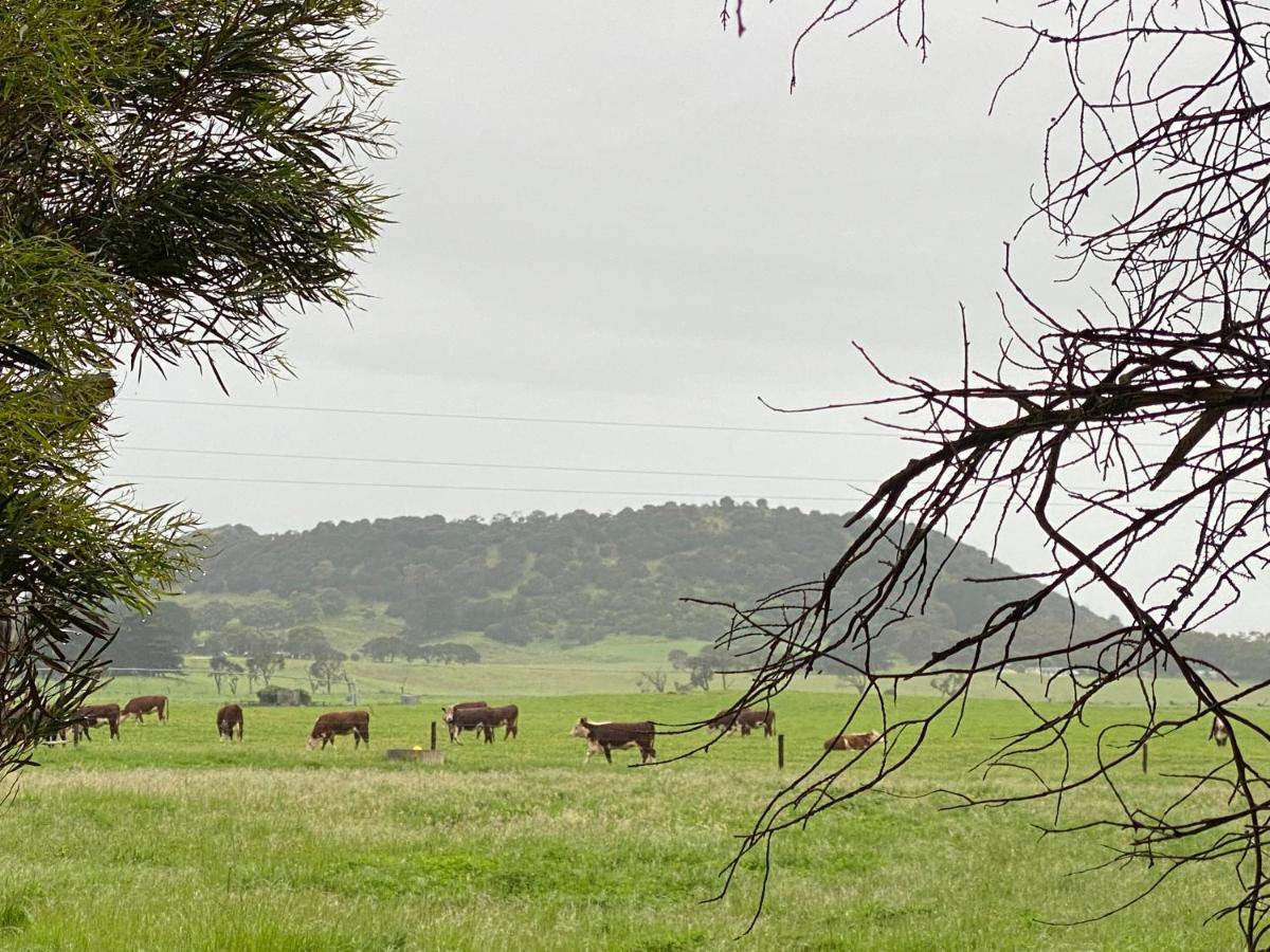 Bellum Hotel Mount Gambier Kültér fotó